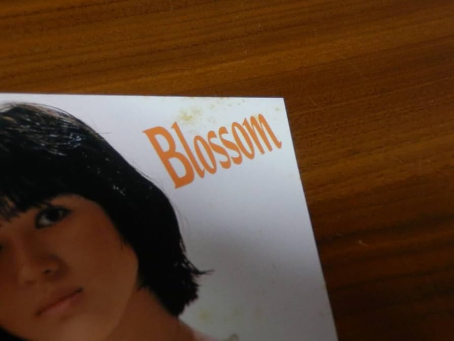 Amazon.co.jp: 橋本美加子 CD「Blossom」ブラッサム 32XL-111